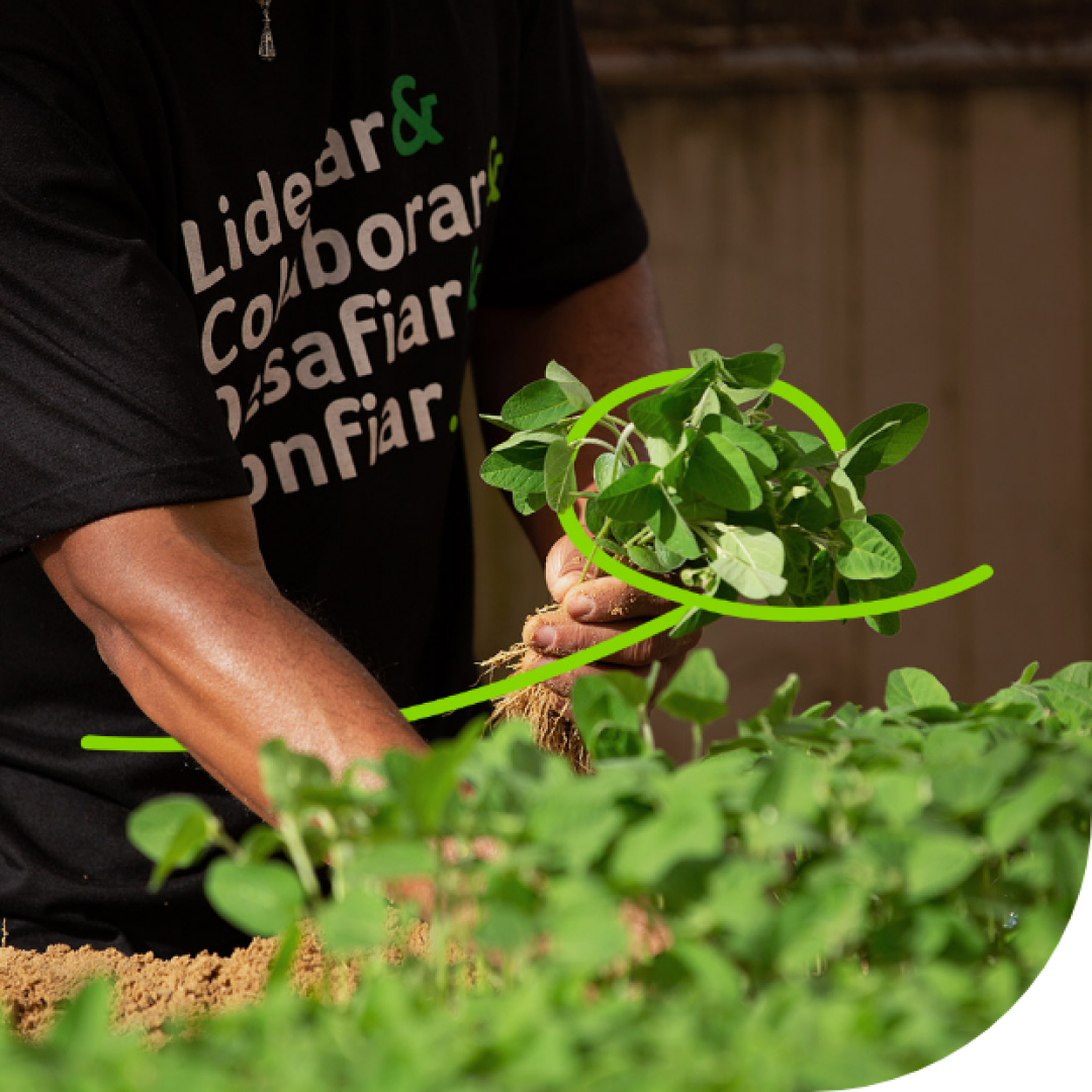 Profissional da Nutrien examinando plantas